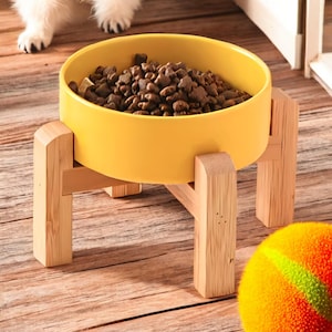 Raised food dishes for dogs hot sale