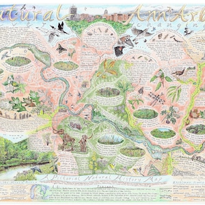 Mappa naturale di Ann Arbor