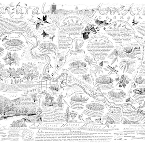 Carte naturelle d'Ann Arbor