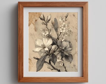 Victorian Botanical Print – Magnolia Blossoms, Pen-and-Ink Wash (Digital Download)