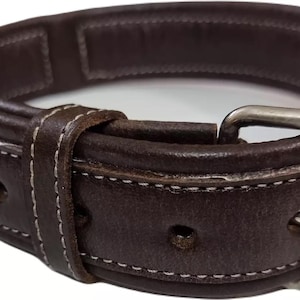 Hochleistungs-Hundehalsband aus echtem Leder - verstellbar, langlebig und komfortabel