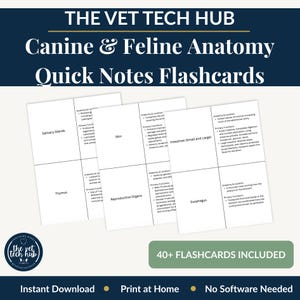 Canine Feline Anatomy Quick Notes Flashcards, Vet Tech, Dog Cat Body Systems, Organs, VTNE, NAVLE Prep, Printable Instant Download