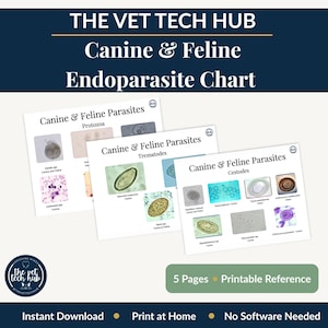 Tabla de identificación de endoparásitos caninos y felinos, referencia imprimible para técnicos veterinarios: nematodos, cestodos, trematodos, protozoos, VTNE, descarga instantánea.