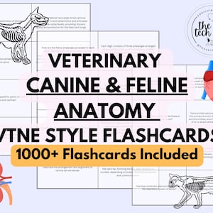 Veterinary Canine and Feline Anatomy & Physiology Flashcards, VTNE Style Flashcards, Vet Nurse, Vet Tech, Veterinary Medicine Education