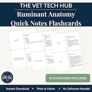 Anatomie van herkauwers Snelle opmerkingen Flashcards, dierenartstechnologie, rundvee, schapen, geitenbotten, organen, lichaamssystemen, VTNE, NAVLE Prep, afdrukbare Instant Download