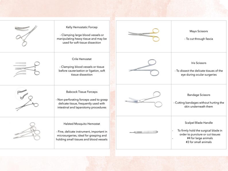 Veterinary & Human Medicine Basic Surgical Instrument Flashcards ...