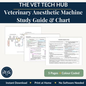 Veterinary Anesthetic Machine Study Guide, Vet Tech VTNE Prep Open Closed Systems Components Vaporizer Rebreathing Circuit Instant Download