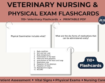 May include: A set of white flashcards titled Veterinary Nursing & Physical Exam Flashcards. The cards feature questions about physical exams and oral medications, with a list of 11 items including body condition and vital signs.