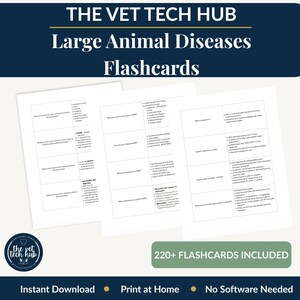 Puede incluir: Tarjetas blancas con texto negro, que muestran el título "Large Animal Diseases Flashcards" y el logotipo "THE VET TECH HUB." La imagen también incluye el texto "220+ FLASHCARDS INCLUDED," "Instant Download," "Print at Home," y "No Software Needed."