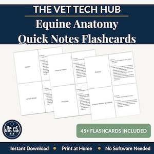 Equine Anatomy Quick Review Flashcards, Vet Tech Horse Body Systems ,VTNE, NAVLE Prep Rapid Study Reference, Printable Instant Download