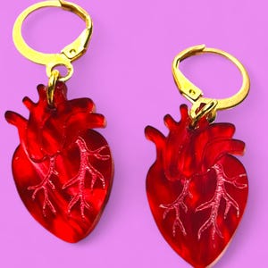 May include: A pair of red heart-shaped earrings with gold hoop hooks. The hearts have a detailed anatomical design of veins and arteries.