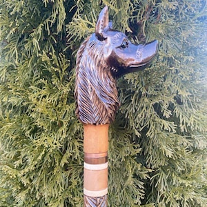 May include: A wooden walking stick with a carved wolf head handle. The handle is dark brown and the stick is brown with a light brown and copper coloured band.