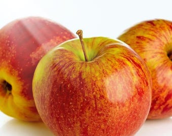25 Anna Apple-frön: Sött, krispigt fruktträd för trädgårdsplantering