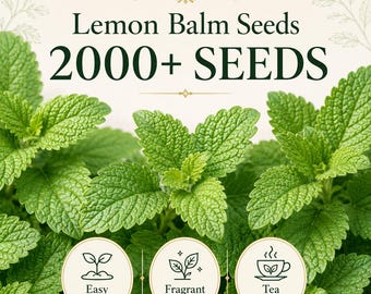 Lemon Balm Seeds | Melissa Officinalis Herb | Fragrant Perennial Garden Plant