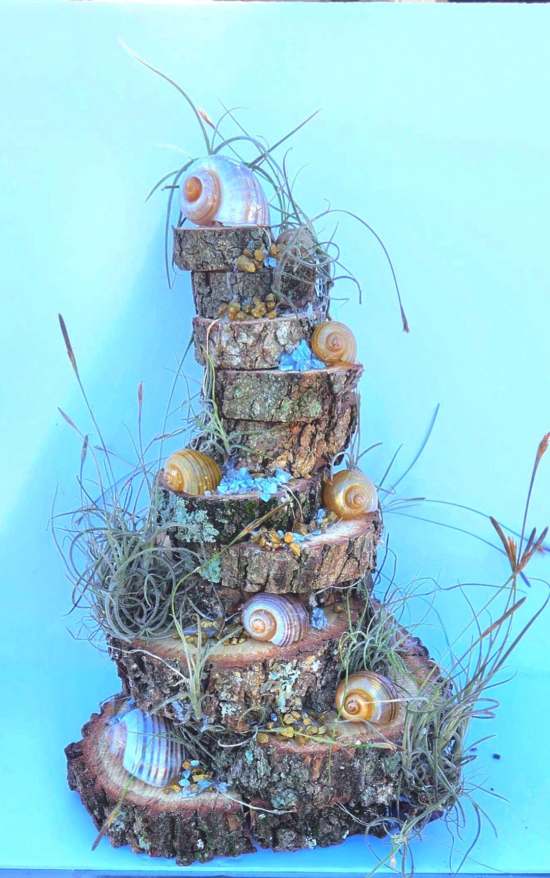 Original Snail Shell Altar Tower | Live Oak Sculpture With Air Plants ...