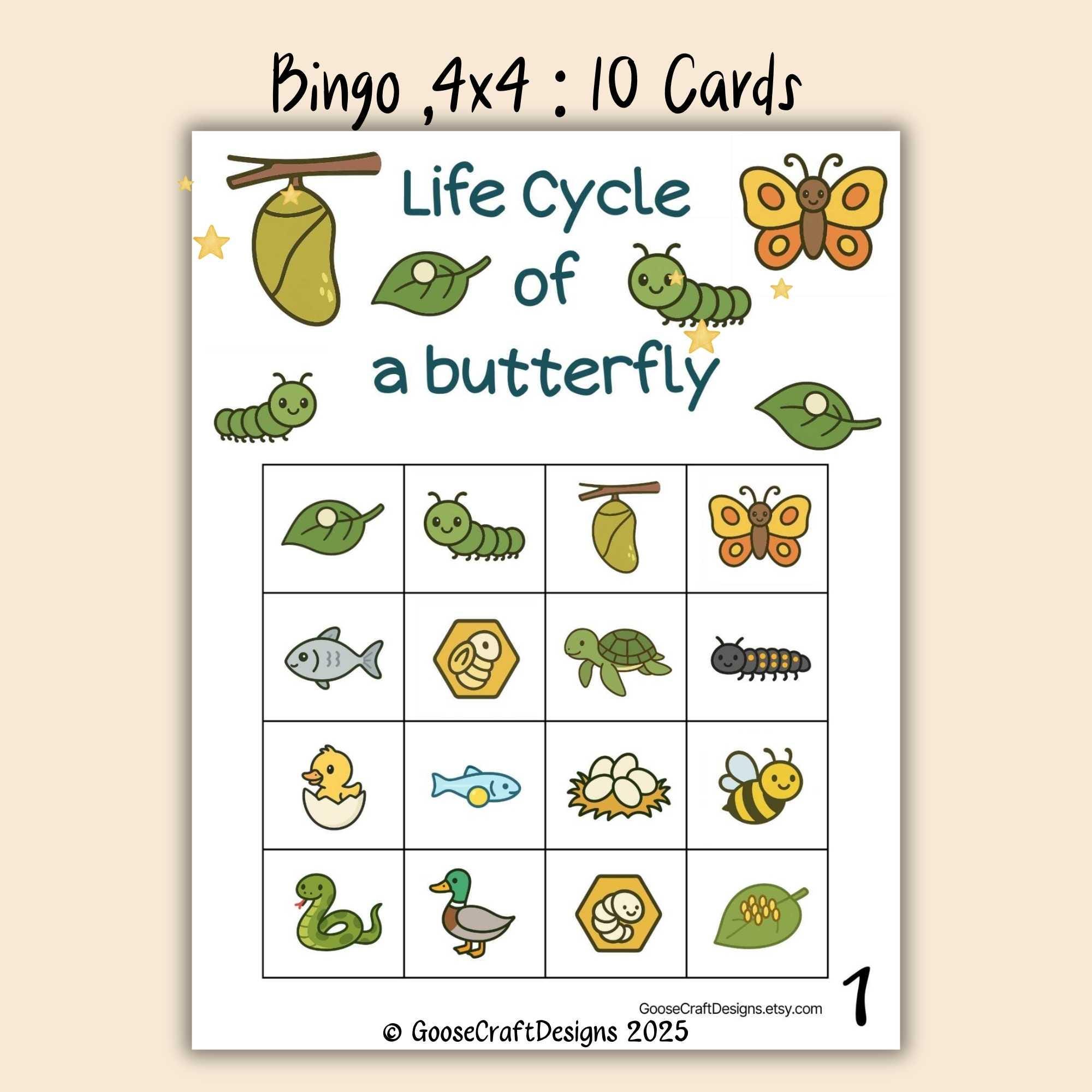 Bingo Life Cycle of a Butterfly | Educational Game for Kids | Science ...