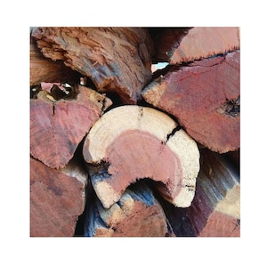 La caja Premier Cooking: 10 libras de trozos de 2 a 3 pulgadas combinados con 2 iniciadores de fuego ecológicos Fire Ballz