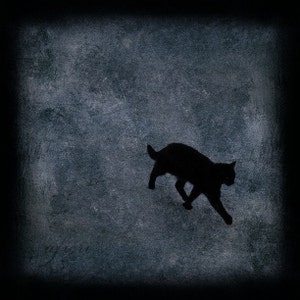 Black cat photograph, cat print, Walking Away, Fine art photography, cat photo, photo painting