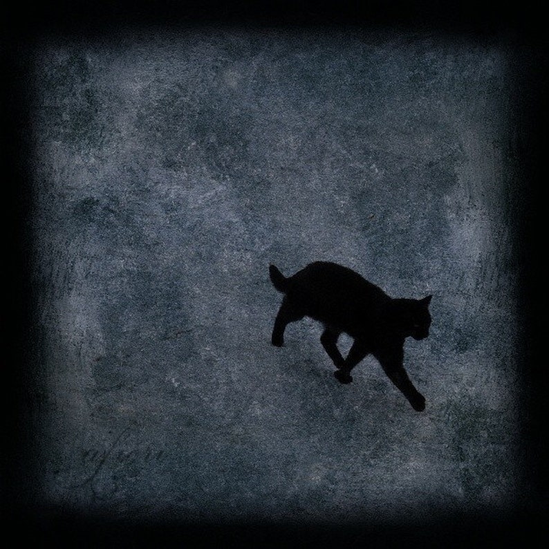 Black cat photograph, cat print, Walking Away, Fine art photography, cat photo, photo painting image 1