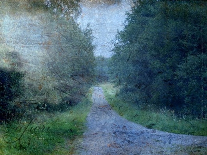 The Path, Fine art photograph, 8x10,7 image 1