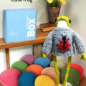 Frogs in Ladybug Sweater KNITTING KIT -Everything you need of highest quality to knit Little Frog DIY Knitting Kit , Cute Frog  Knitting kit