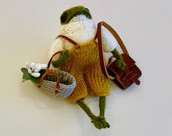 Amigurumi Frog,Knitted Frog, Frog And Toad, Frog Plush, Custom Frog, Knitted Frog,