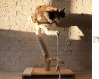 May include: A cat tree constructed from a natural wooden branch base with a rectangular wooden platform. The branch features cream-colored rope wrapping on the trunk and a dangling rope toy. A cat is resting on the top platform of the structure.