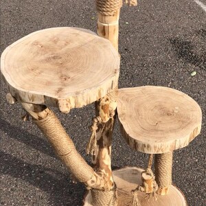 May include: A natural wood cat tree with three platforms of varying sizes. The platforms are made from cross-sections of a tree trunk. The support posts are wrapped in rope. The cat tree is designed for climbing and lounging.