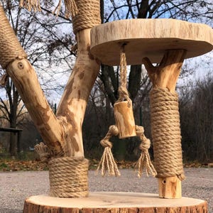May include: A natural wood cat tree with a round base and a circular platform. The tree features multiple branches wrapped in thick rope, with a hanging wooden toy. The cat tree is designed for indoor use.