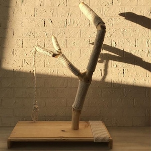 May include: A cat tree with a natural wood base and branches wrapped in sisal rope. The design resembles a tree, with a hanging rope toy. The product is from the Tree Cat Shop.