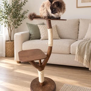 Pode incluir: Uma árvore para gatos com base de madeira castanho-escura, um poste central curvo com duas secções envoltas em corda de sisal bege claro, uma plataforma quadrada inferior e uma plataforma superior circular com um gato castanho fofo sentado.