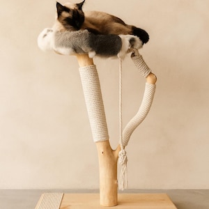 May include: A cat tree featuring a natural light wood base and a vertical branch structure. The branches are partially wrapped in thick cream-coloured rope. A circular platform at the top is covered in a soft, multi-coloured faux fur cushion.