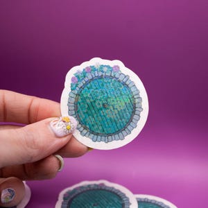 Puerta del Hobbit - ESDLA, El Señor de los Anillos, ESDLA, Frodo, Bilbo, Samwise, Pegatina brillante, Pegatinas del Hobbit, Pegatinas para portátil y botella de agua