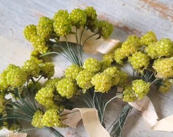 Vintage Millinery Green Raspberry Fruit Picks German 48+ Stems