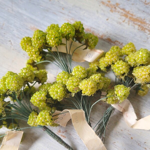 Vintage Millinery Green Raspberry Fruit Picks German 48+ Stems