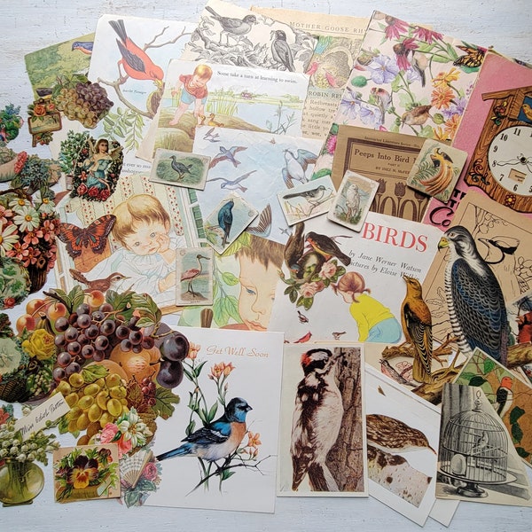 50 pc Vintage Fruit Flowers Birds Die Cut Scraps Prints Book Pages Lot