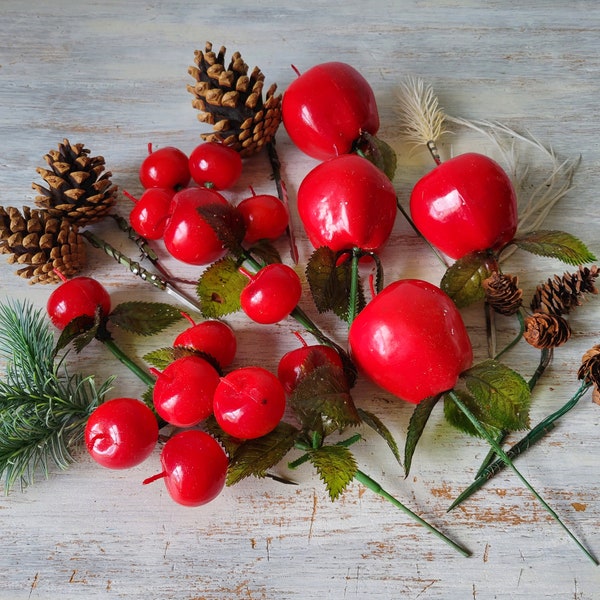 Apples Pinecones Etsy