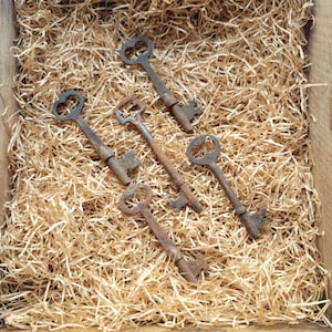 5 Antique Rusty Skeleton Keys Junk for Altered Art Assemblage
