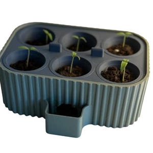 May include: A blue-grey plastic seed starter tray with six circular planting cells, each filled with soil and a small seedling. The tray has a ribbed exterior and a small attached reservoir. Suitable for starting seeds indoors.