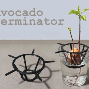 May include: Black metal avocado germinator with a sprouted avocado pit in a glass of water. The avocado pit has roots and a small plant with green leaves. The text "Avocado germinator" is above the objects.