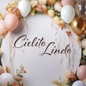 Cielito Lindo Baby Shower Vinyl Decal – Mexican-Themed Backdrop, Gender Reveal Party Decor Balloon Arch Sticker Sweet One Celebration ea4633