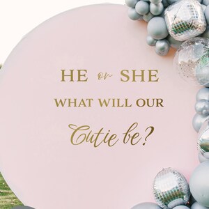 He or She Decal Lettering Gender Reveal Sign Party Boy or Girl For Walls Backdrop Decoration Idea Baby Shower Event Art Decor Sticker w36