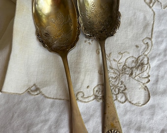 Vintage Sheffield England EPNS vergulde fruitlepel set van 2