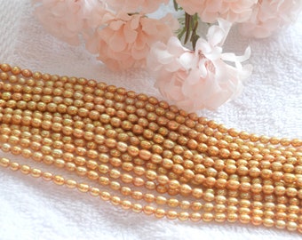3.4x5mm Freshwater Pearl Strand Quality Champagne Oval Rice beads 16" Stands