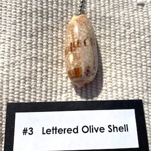 LETTERED OLIVE SHELL Fan Pull Chain-Seashell-Ceiling Fan Pull Lamp Accessory-Beach-Nautical Decor-Coastal-Beach House-Light Pull Chain