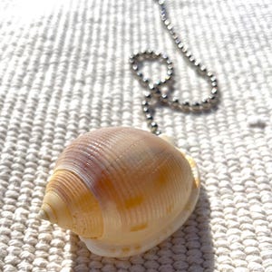 Scotch Bonnet SHELL FAN PULL Chain-Seashell-Ceiling Fan Pull Lamp Accessory-Beach-Nautical Decor-Coastal-Beach House-Light Pull Chain