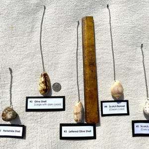 SHELL FAN PULL Chain-Seashell Fan Pull-Ceiling Fan Pull Lamp Accessory-Beach-Nautical Decor-Coastal-Beach House-Light Pull Chain Lot 1-5