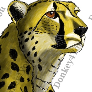 Gepard Portrait / Kreidezeichnung