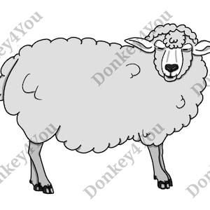 Schaf Zeichnung / Illustration / Malvorlage
