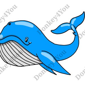 Blauwal Zeichnung / Illustration / Malvorlage